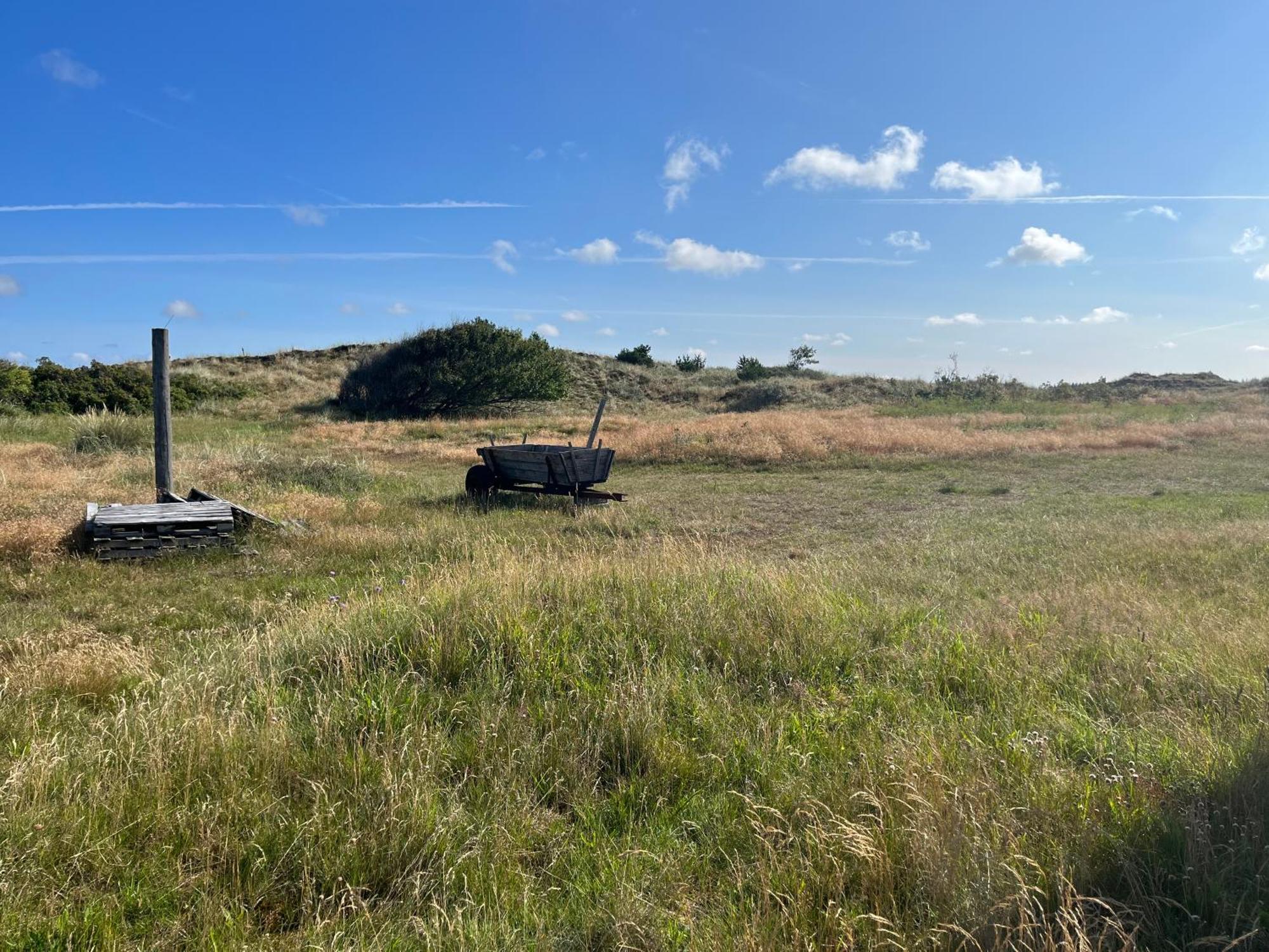 The Beach Farm - Charm, Beach And Stunning Nature Bedsted Thy 外观 照片