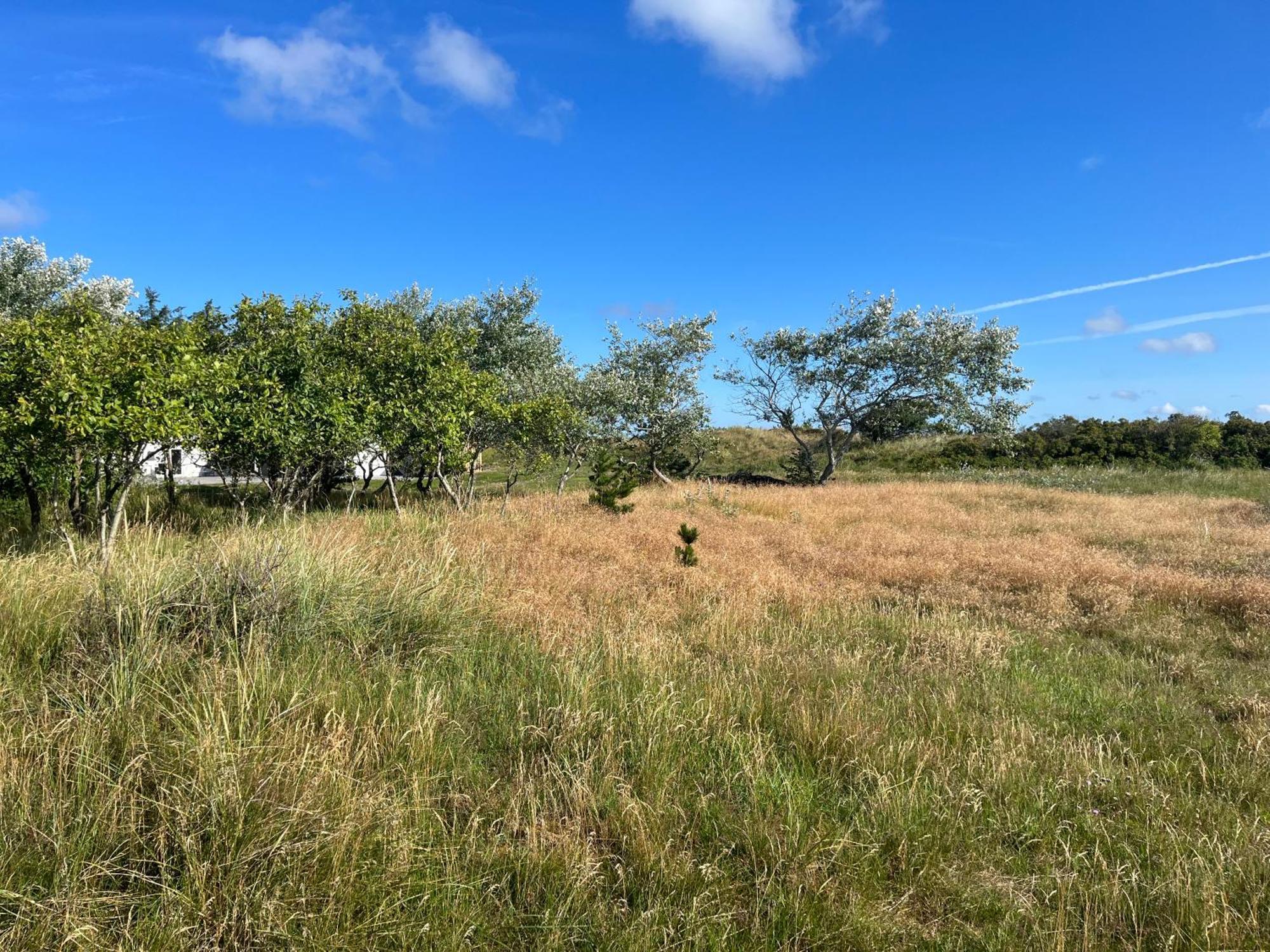 The Beach Farm - Charm, Beach And Stunning Nature Bedsted Thy 外观 照片